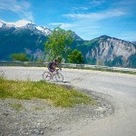 Cock Kortlever 2-1 (600x450)